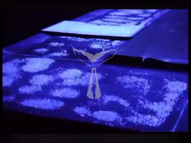 聲光電互動(dòng)裝置視頻